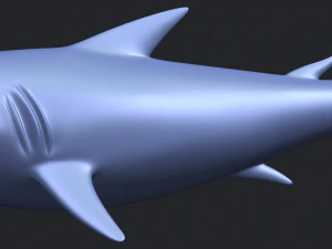 shark 3D Print Model