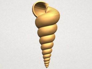spiral shell 3D-Druckmodell
