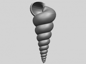 spiral shell Modelo de Impressão 3D