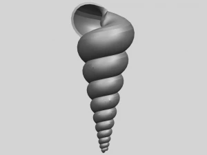 spiral shell 3D Print Model