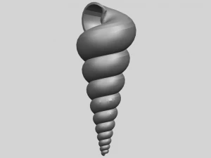 spiral shell 3D Print Model