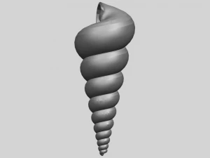 spiral shell 3D Print Model