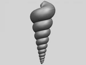 spiral shell 3D Print Model
