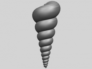 spiral shell Modelo de Impressão 3D