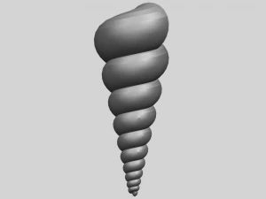 spiral shell 3D Print Model