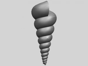 spiral shell 3D Print Model