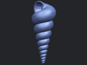 spiral shell Modelo de Impressão 3D