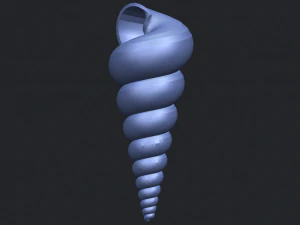 spiral shell 3D Print Model