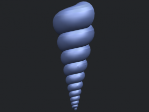 spiral shell Modelo de Impressão 3D