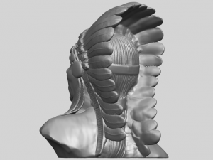 red indian 03 - bust Modelo de impresión 3D