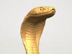 cobra Modello di stampa 3D