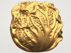 cabbage 3D Принт Модель