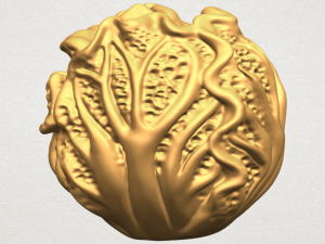 cabbage 3D Принт Модель