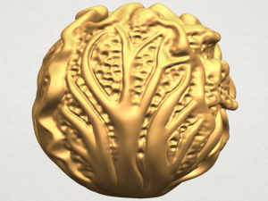 cabbage 3D Принт Модель