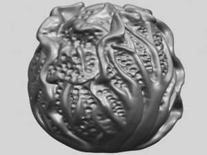 cabbage 3D Принт Модель