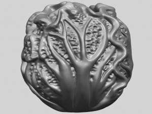 cabbage 3D Принт Модель