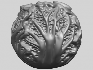 cabbage 3D Принт Модель