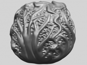 cabbage 3D Принт Модель