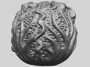 cabbage 3D Принт Модель