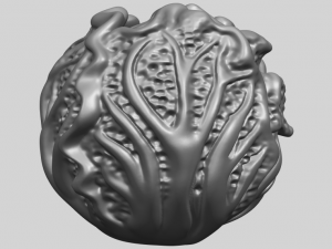 cabbage 3D Принт Модель