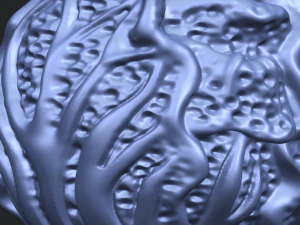 cabbage 3D Print Model