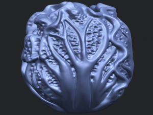 cabbage 3D Принт Модель