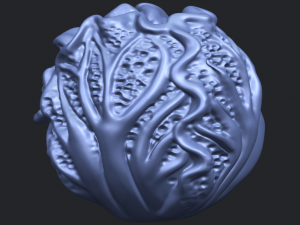 cabbage 3D Принт Модель