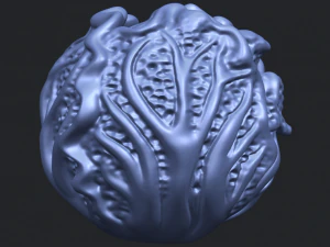 cabbage 3D Print Model