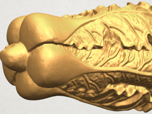 vegetable - fatt choi 03 Model do druku 3D