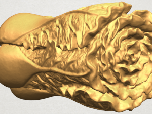 vegetable - fatt choi 03 Model do druku 3D