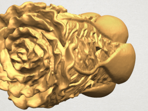 vegetable - fatt choi 03 Model do druku 3D