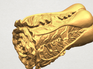 vegetable - fatt choi 03 Model do druku 3D