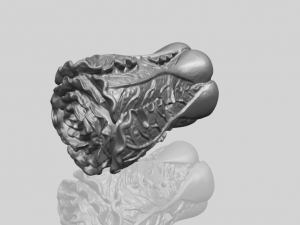 vegetable - fatt choi 03 Model do druku 3D
