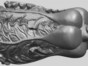 vegetable - fatt choi 03 Model do druku 3D