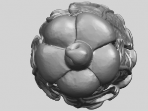 vegetable - fatt choi 03 Model do druku 3D