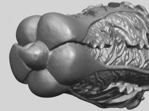 vegetable - fatt choi 03 Model do druku 3D