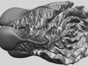 vegetable - fatt choi 03 Model do druku 3D