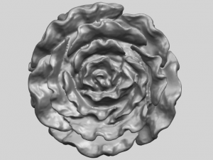 vegetable - fatt choi 03 Model do druku 3D