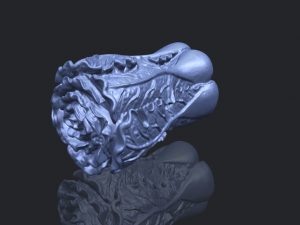 vegetable - fatt choi 03 Model do druku 3D
