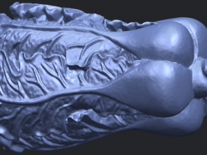 vegetable - fatt choi 03 Model do druku 3D