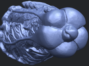 vegetable - fatt choi 03 Model do druku 3D