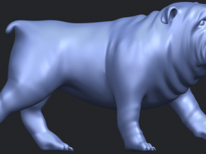 bull dog 01 3Dプリントモデル