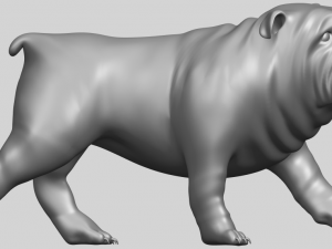 bull dog 01 3Dプリントモデル