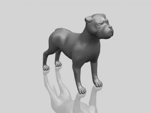 bull dog 05 3D Print Model