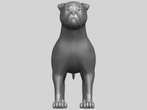 bull dog 05 Model Cetak 3D