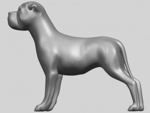 bull dog 05 Model Cetak 3D