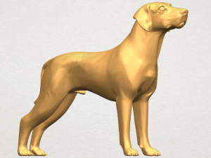 bull dog 06 3D Принт Модель