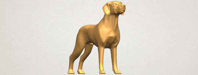 Download bull dog 06 3D Model