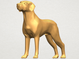 bull dog 06 3D Принт Модель