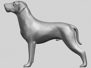 bull dog 06 3D Принт Модель